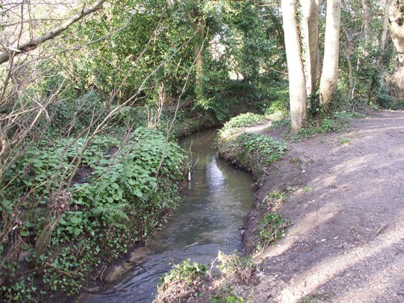 01 Stream-alongside-the-footpath