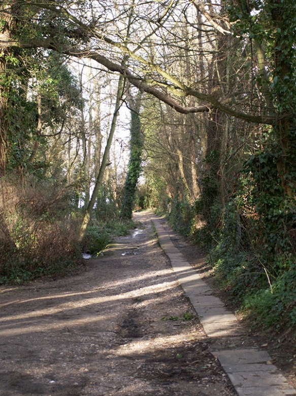 02 Footpath-to-the-beach