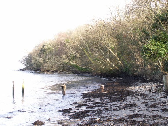 05 Beach-at-Binstead-1