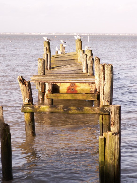08 Gulls-on-a-broken-pier