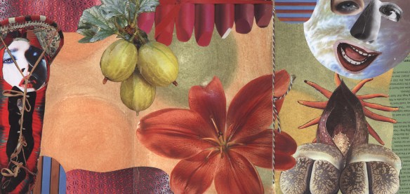 Page 6 7 & 8 collage only s