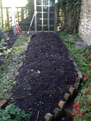 Veg plot before